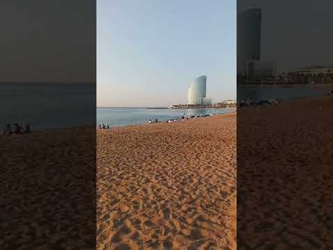 Virtual walking tour