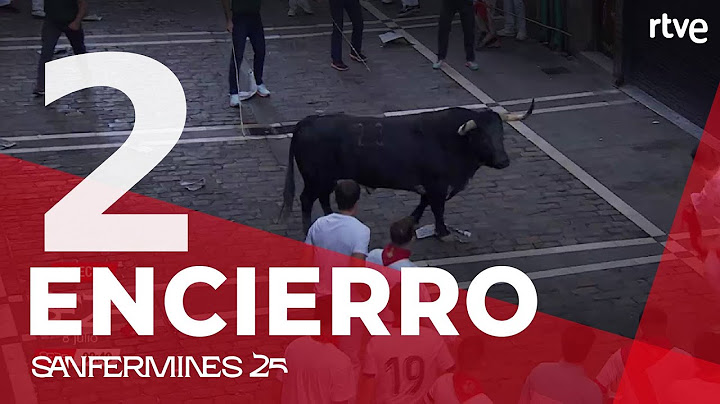 SEGUNDO ENCIERRO de San Fermín 2025 | Toros de Cebada Gago