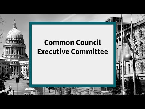 Common Council Executive Committee: Meeting of March 2, 2021