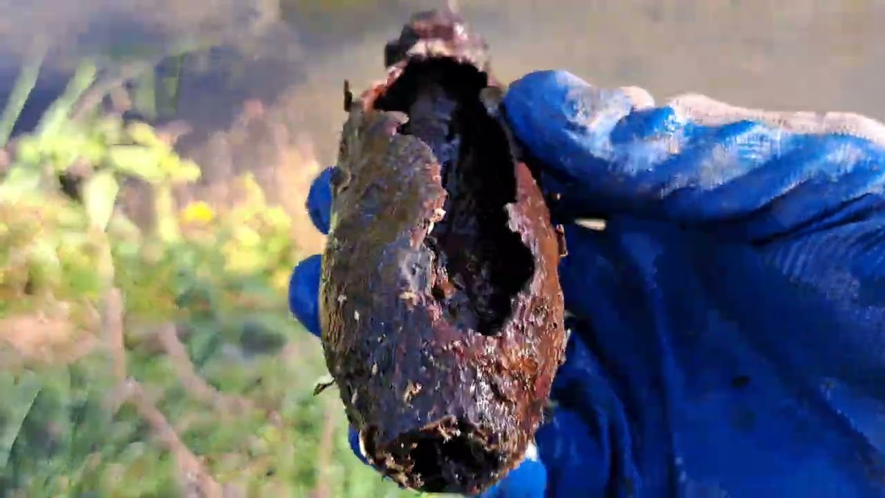 Magnet Fishing big find pt.2