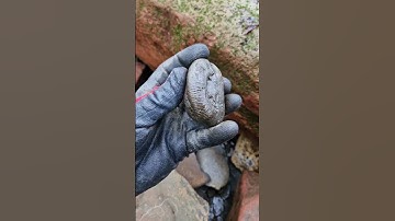 Searching the beach for Ammonite Nodules! 🤌🏼🪨 #fossilhunting #fossils #shorts #coast #rock #ammonite