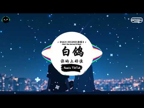 白鸽 抖音DJ版 你的上好佳 为什么你需要我的时候 我就应该出现在你门口 抖音热歌版BGM Douyin TikTok 