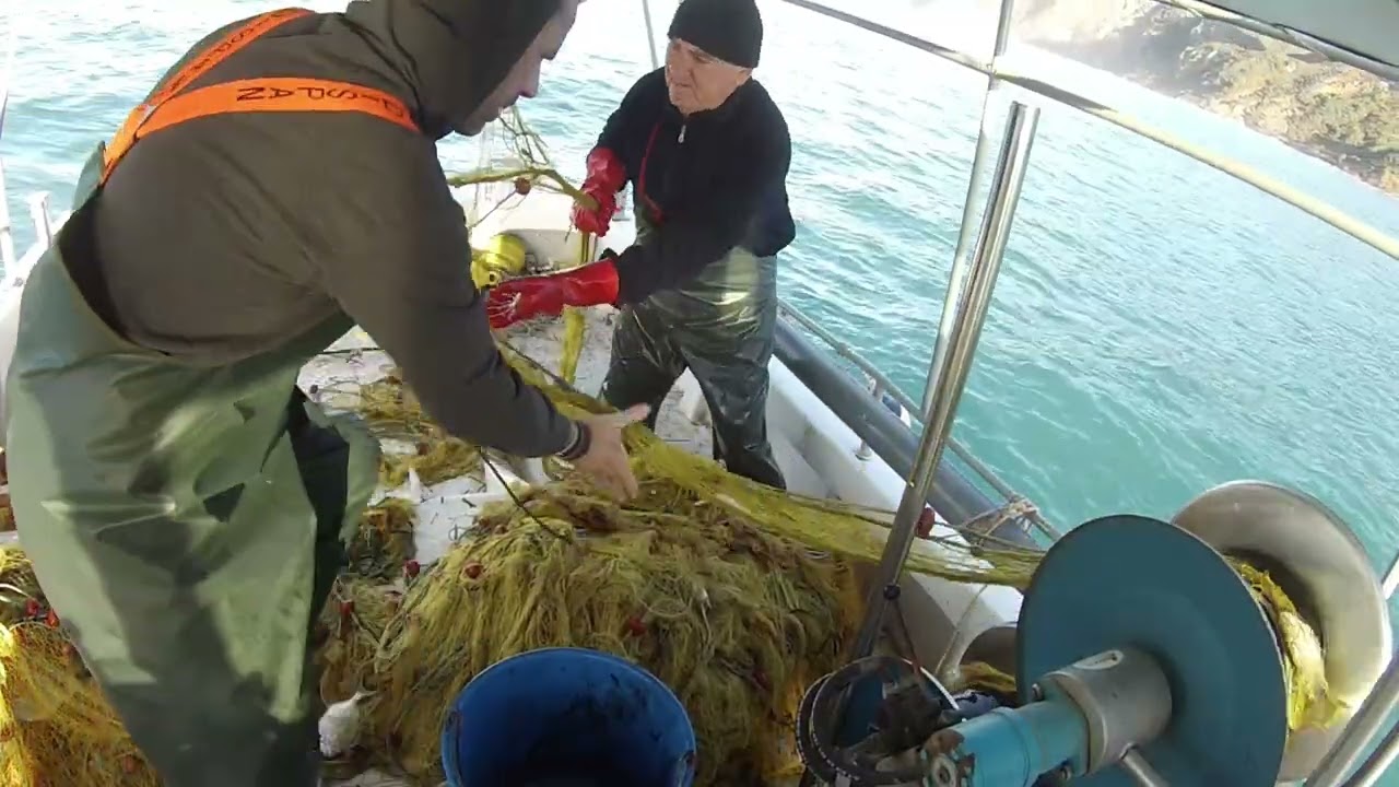 ψάρεμα#μια ηλιόλουστη μέρα με ηρεμία και γεμάτα δίχτυα#