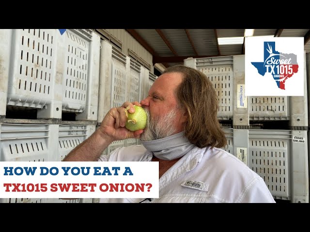 TX1015 Texas Sweet Onions with Bret Erickson - How Do You Eat a Sweet  Onion? - YouTube