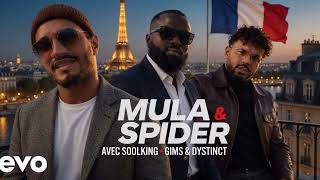 Soolking x GIMS x DYSTINCT – Mula & Spider (Official Music)