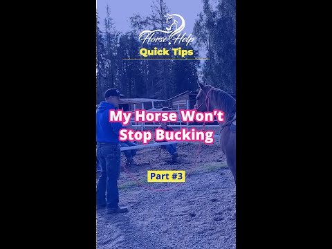 Video: Aiuto del cavallo Bucking