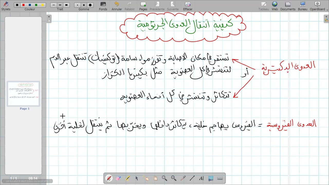 مراجعة للحساسية و الزمرة الدموية رابعة متوسط