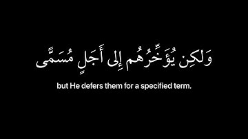 [ ولو يؤاخذ الله الناس بظلمهم ] كروما قران شاشه سوداء - القارئ عبدالرحمن مسعد