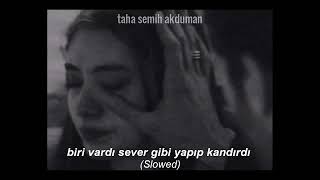 biri vardı sever gibi yapıp kandırdı (slowed)