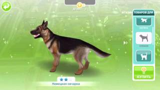 Магазин питомцев в The Sims FreePlay Магазин питомцев в The Sims FreePlay