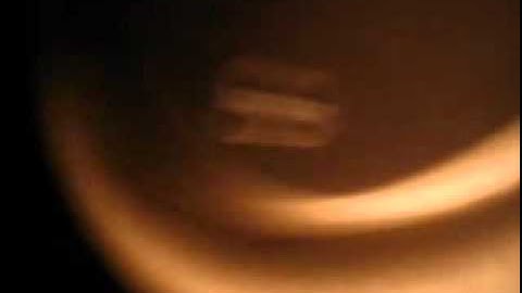 12vdb.com - car audio database: JL Audio 10w7.2