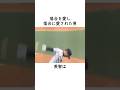 【英智】落合博満に愛された男 #蔵本英智 #中日ドラゴンズ #プロ野球 #爆肩