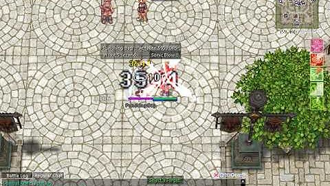 Ragnarok rAthena test dummy with DPS message