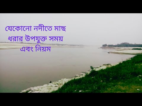 ভিডিও: শান্ত শিকারের মৌসুম। কখন মাশরুম বাছাই করবেন