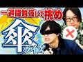 一週間「傘」について勉強しまくったらどれくらい詳しくなるんだ？！【一週間クイズ傘編】