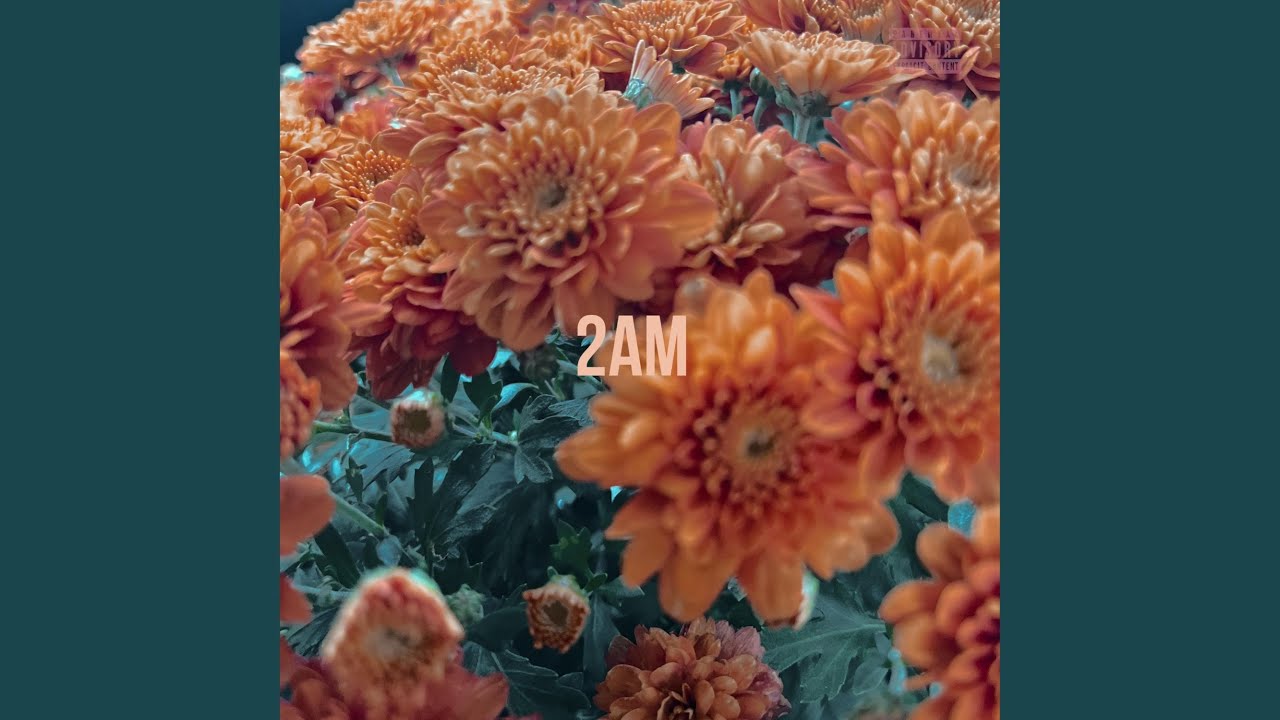 {artistName}의 {trackName} 뮤직 비디오 보기