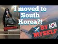 I moved to South Korea DURING the pandemic (by myself)🇰🇷🥳