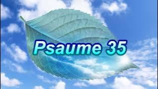 Psaume 35