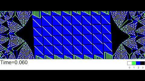 Sandpile identity dynamics induced by H2a=ij on a 243x81 rectangle