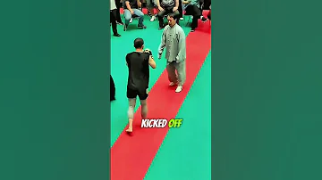 Tai Chi Master Challenges MMA Fighter What Happens Next 