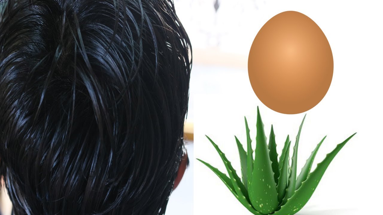Aloe Vera Gel And Eggs White Hair Care tips To Get Long and thick hair