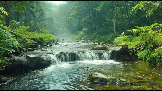 Fall Asleep Faster With Relaxing Nature Sounds  ASMR River Sounds For Sleeping, Relaxing or Reading