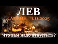 ЛЕВ САМАЙН 1 ноября 2025 период с 1 11 21 12 посмотрим что в этот период вам надо отпустить