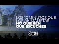 Los 10 minutos que los animalistas no quieren que escuches