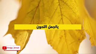 حبيب ة  الخف  اق   و  ح لوة الع ناق يزول  كل   ح ب    و  ح ب   أ م  ي باق   أمي الحبيبة     - اسمعها