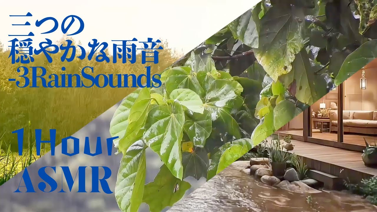 【ASMR】癒される雨音3選"Calm Rain Ambience: 3 Soothing Rain Sounds”