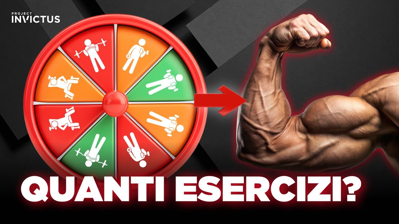 Quanti esercizi per gruppo muscolare?