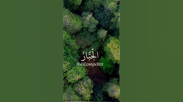 ارح سمعك 🎧💕حالات واتس اب قران/مقاطع انستقرام آيات قرانية😍ستوريات انستا#القران_الكريم