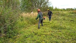 Insane Overgrown Gr Attack Stihl Fs 450 Goes Full Savage