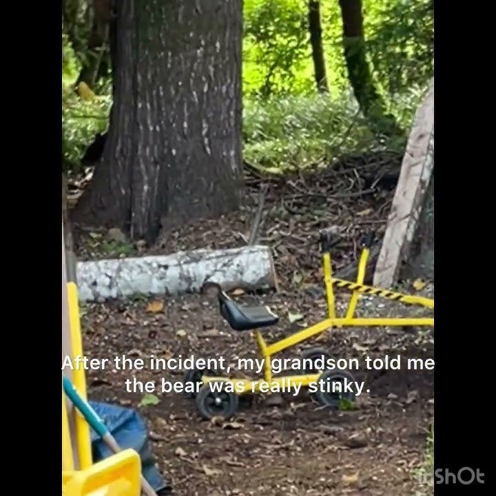 Black charges child so scary, #blackbear #bear #shorts #wildlife #blackbears #viral