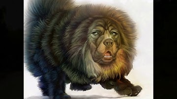 Paint Tool for Mac，Paint for Mac  - Graphic Design Software for Mac