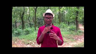 Anupom Das (MCPSC) talks about SDG-8 (Zero Economic Inequality)