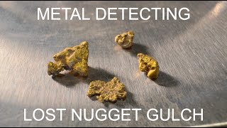 Metal Detecting for Gold  Lost Nugget Gulch