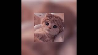 Baby Ariel - Perfsped Up