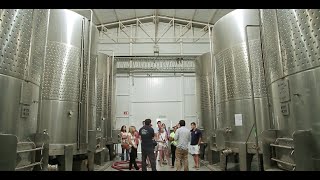AEA: Mendoza, Argentina, Faculty-Led Program Study Abroad (MSU)