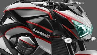Kawasaki Z800 New Model 2019 - Naked Bike 800Cc New Kawasaki Z800 Silver Black Concept 2019