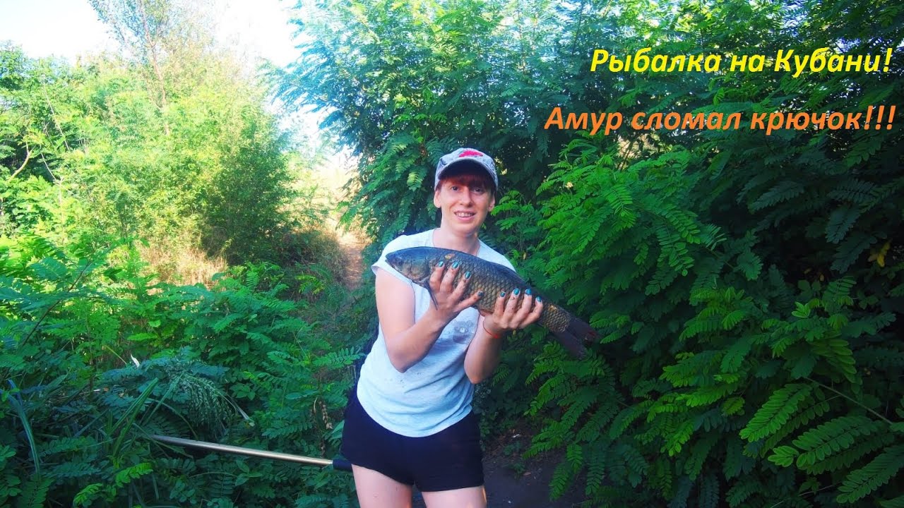 река чуть ухта