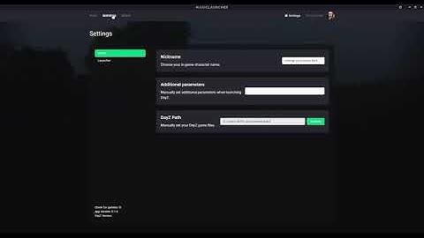 DayZ - Change your Name in the MagicLauncher