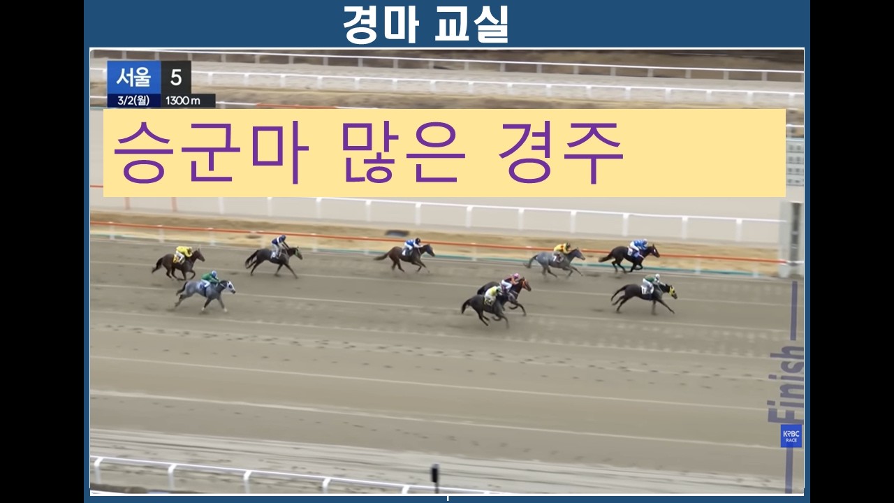경마교실/ 승군마 많은 경주/ 경마분석/ 경마공부/ 경마예상