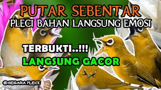 pleci bahan pasti langsung respon dengan suara ini