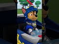 Los Caballeros al Rescate salvan a Excaliguau, ¡el legendario hueso dorado! - #PAWPatrol #Shorts