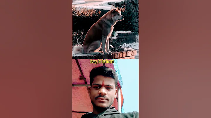 He didn't come back"- Hachi Edit |KaMMH - EMIN & JONY (slowed &reverb) #shorts #edit #youtubeshorts