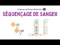 Squenage de sanger  biochimie facile