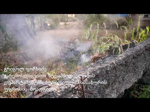 გრიგოლ ფოჩხიძე გარემოსდაცვითი ზედამხედველობის იურიდიული სამსახურის უფროსის მოადგილე