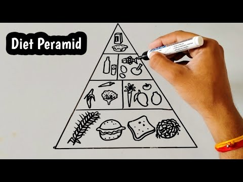 how to draw balance diet chart drawing  सतलत आहर म कय कय हत  ह  YouTube