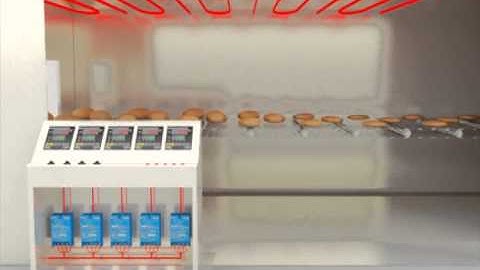 Autonics : Temperature Control Application (TZN Series)